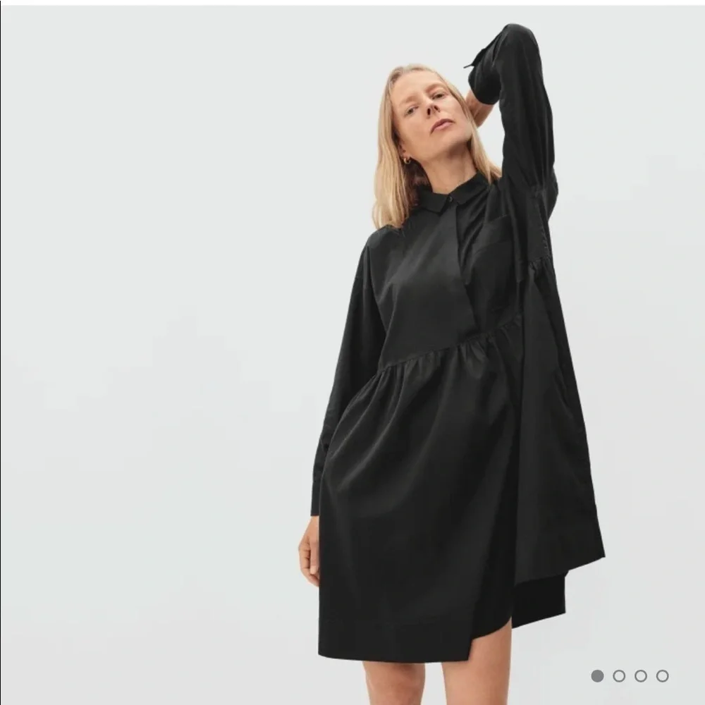Everlane Black Oversized Collared Long Sleeve Shirt Field Mini Dress